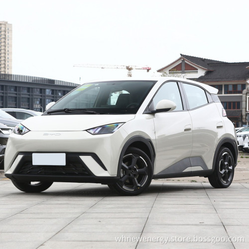 High Quality and Hot Sale Electric Automobile for BYD Seagull 2023 Free Edition